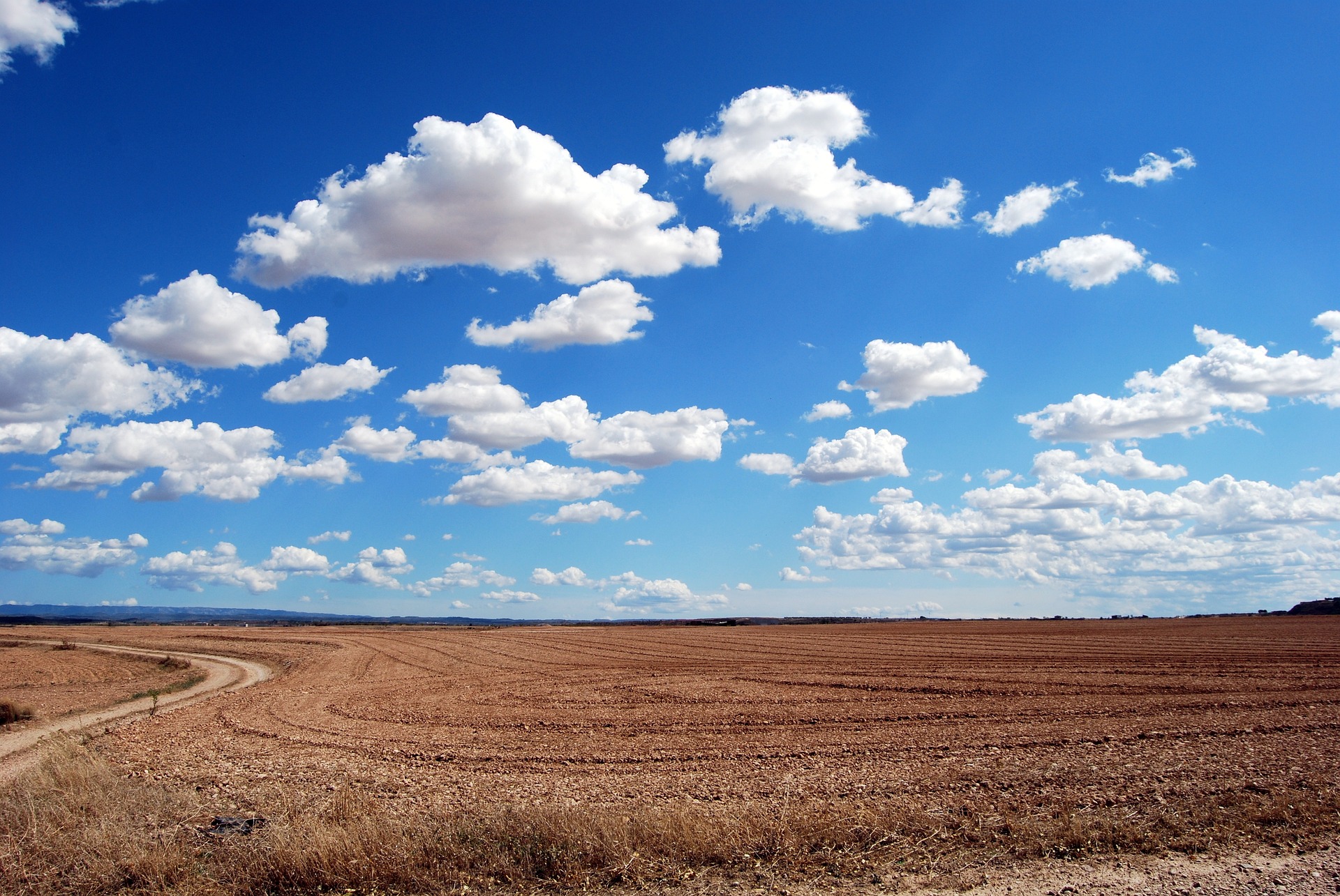 VIC Rural Social Work Practice ...