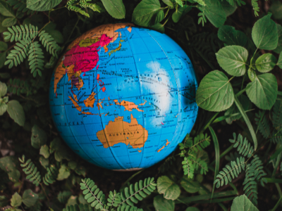 Cultural Responsiveness