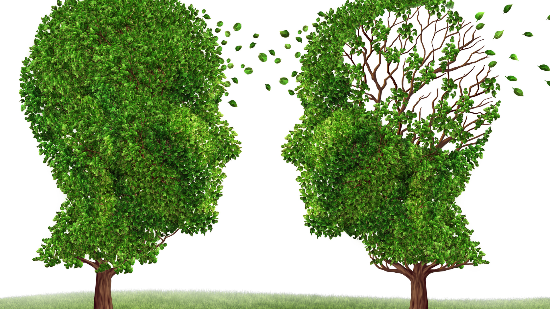AASW Webinar Recording | Dementia and ...