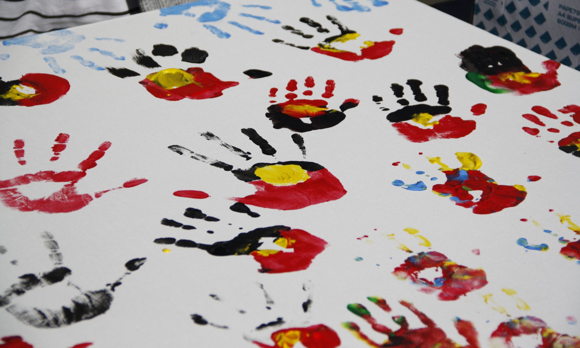 TAS The Voice referendum: an ...