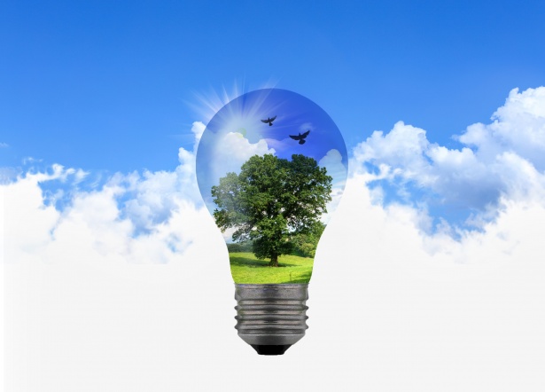 SA Green Social Work Practice ...