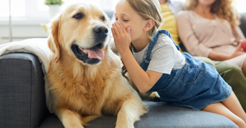 AASW Recording | An Introduction to ...