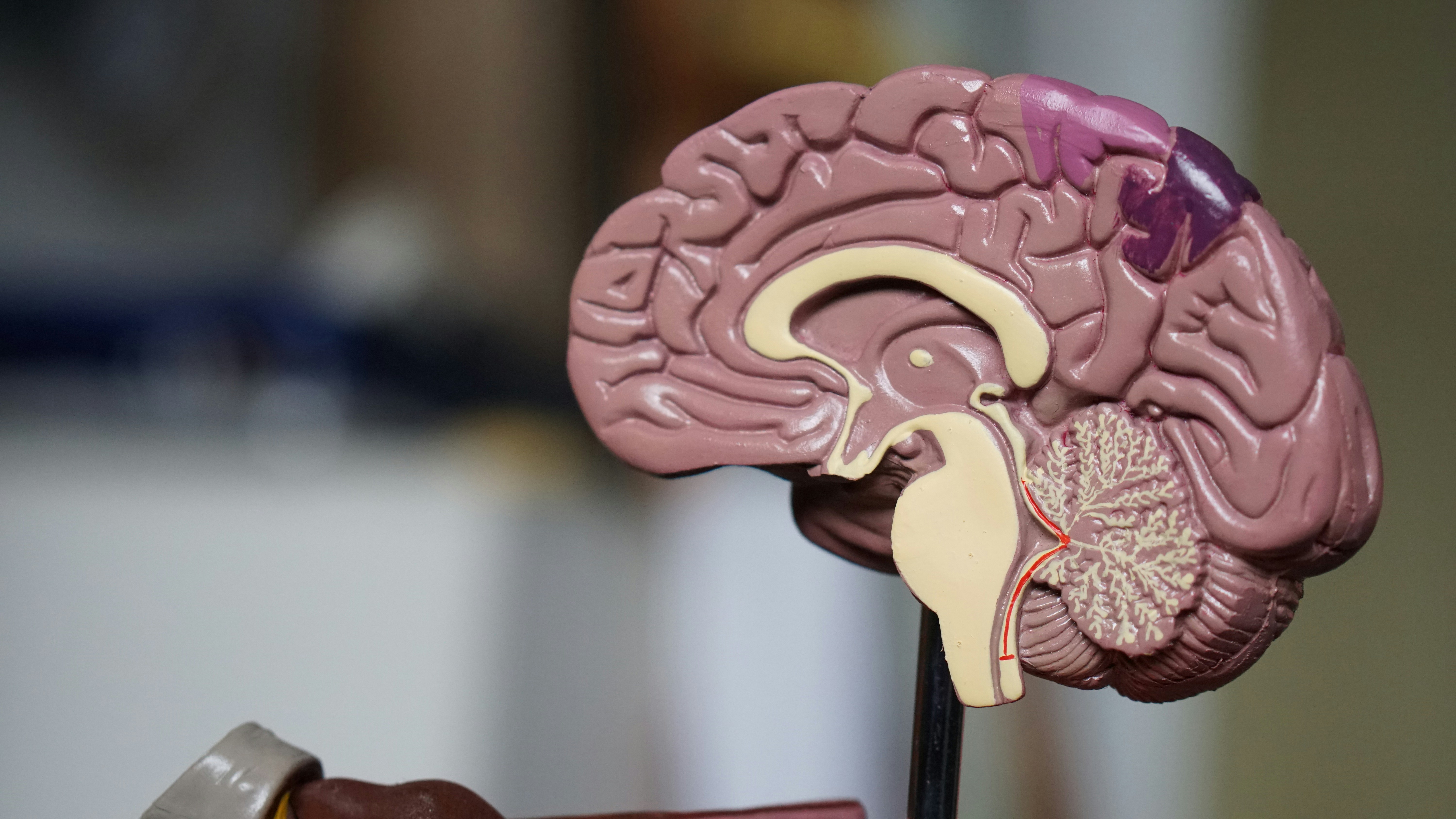 AASW Recording | Guardianship and Dementia: ...