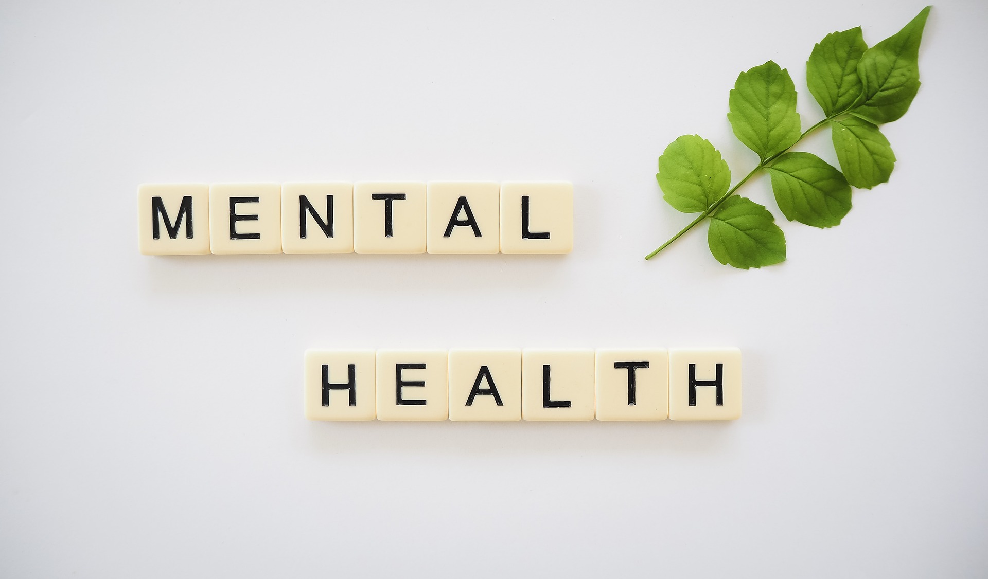 QLD Clinical and Mental Health ...