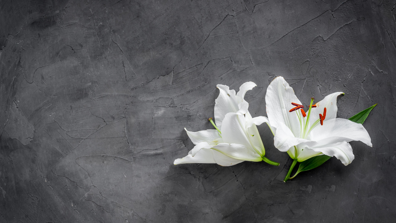 Ageing, Grief & Bereavement