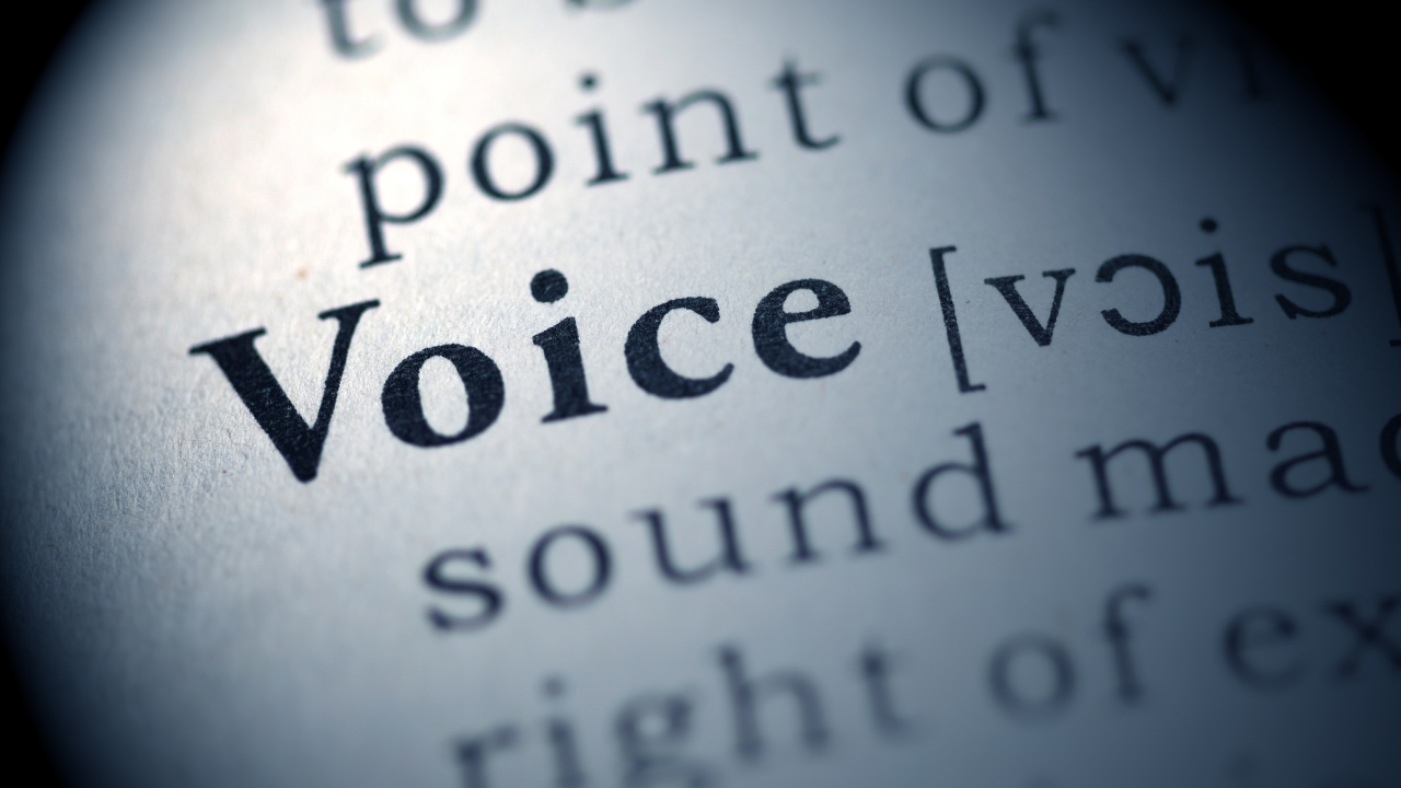 Hearing Voices - Working Holistically ...