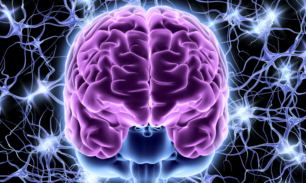 Navigating the Nervous System - ...