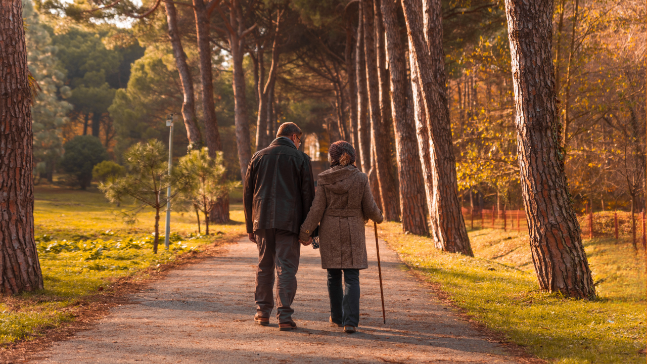 Working well with older people – A workshop on Ageing, Life Transitions, Grief and Bereavement